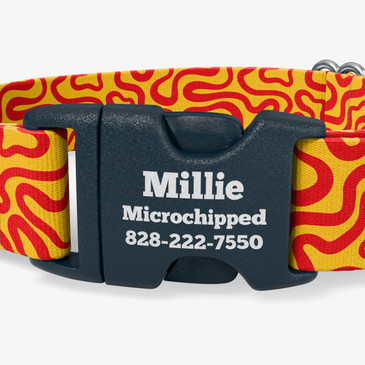 closeup of buckle personalization