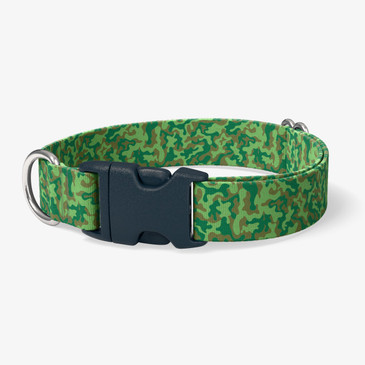 image of front of collar.