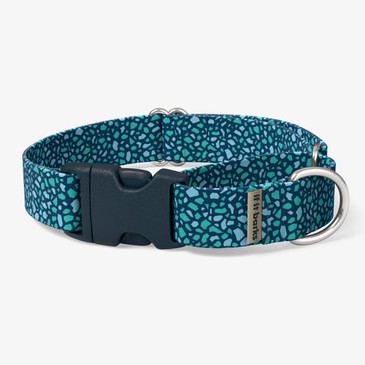 front view of collar