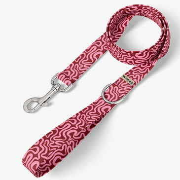 front view of leash