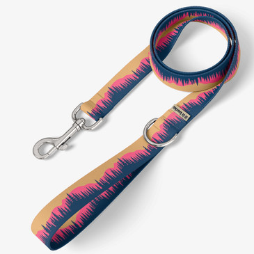 front view of leash