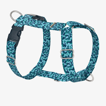 front view of harness