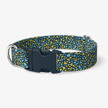 image of front of collar.
