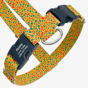 closeup view of harness with personalized buckle