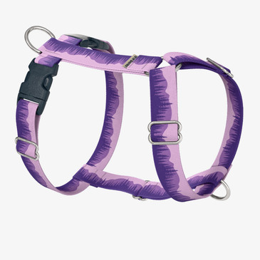 front view of harness