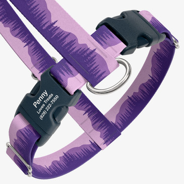 closeup view of harness with personalized buckle