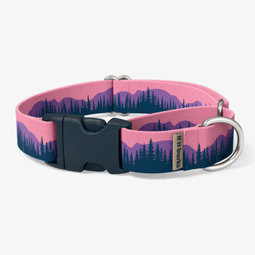 front view of collar