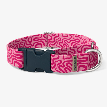 front view of collar