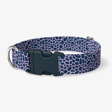 image of front of collar.