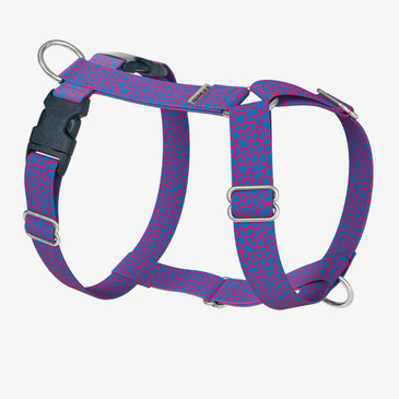 front view of harness