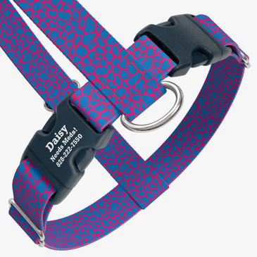 closeup view of harness with personalized buckle