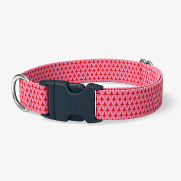 image of front of collar.