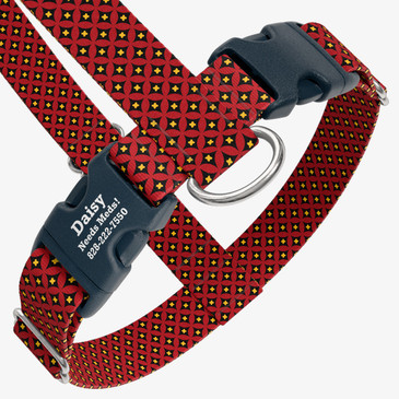 closeup view of harness with personalized buckle