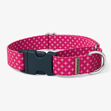 front view of collar