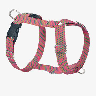 front view of harness