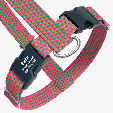 closeup view of harness with personalized buckle