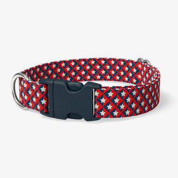 image of front of collar.