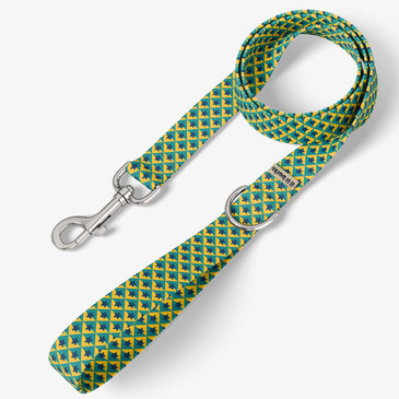 front view of leash
