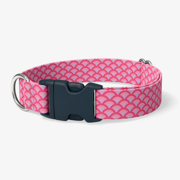 image of front of collar.