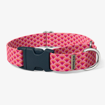 front view of collar