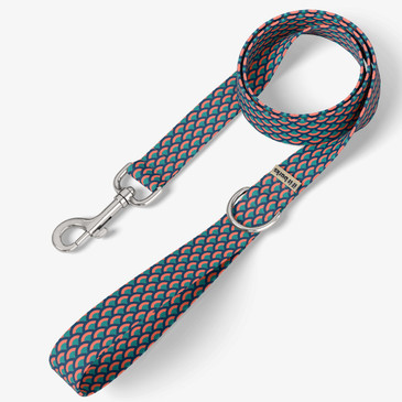 front view of leash