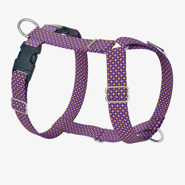 front view of harness