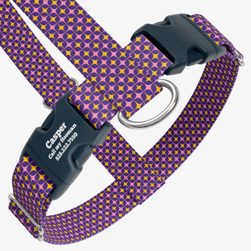 closeup view of harness with personalized buckle