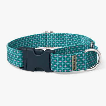 front view of collar