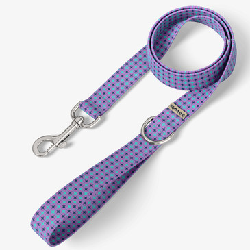 front view of leash