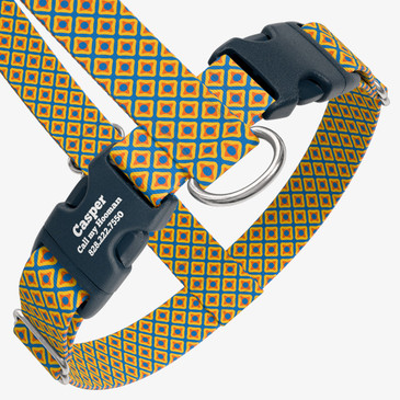 closeup view of harness with personalized buckle