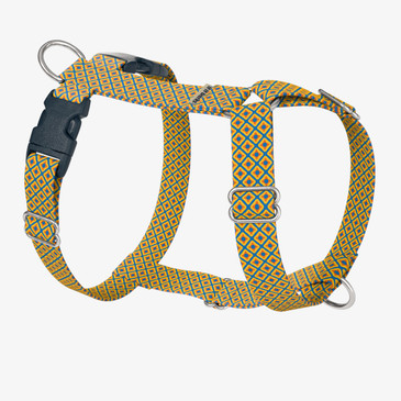 front view of harness