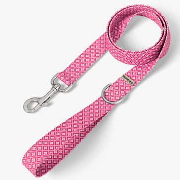 front view of leash
