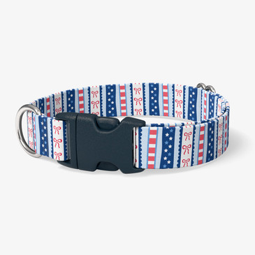 image of front of collar.