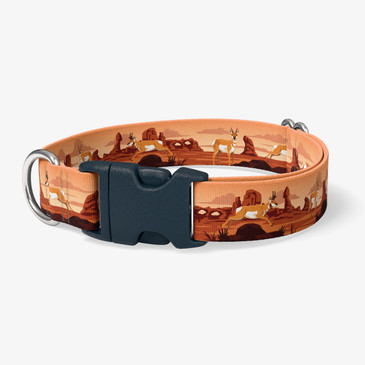 image of front of collar.