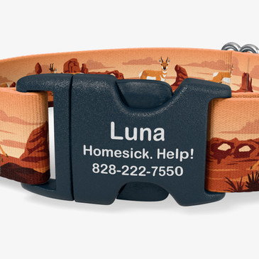 closeup of buckle personalization