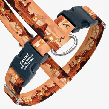 closeup view of harness with personalized buckle