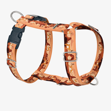 front view of harness