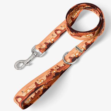 front view of leash