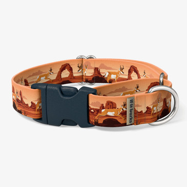 front view of collar