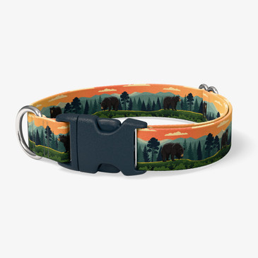 image of front of collar.