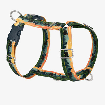 front view of harness