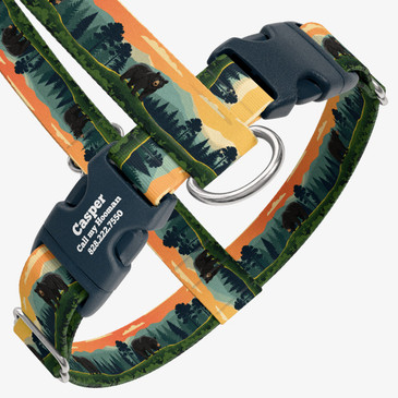 closeup view of harness with personalized buckle