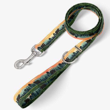 front view of leash