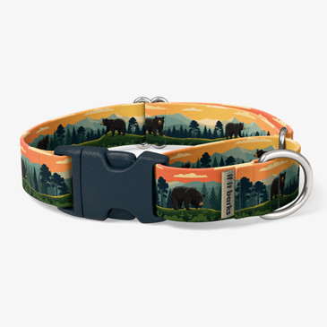 front view of collar