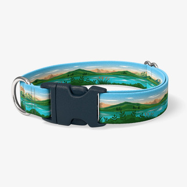 image of front of collar.