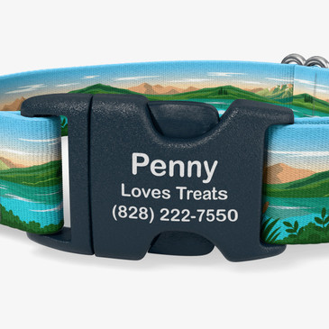 closeup of buckle personalization