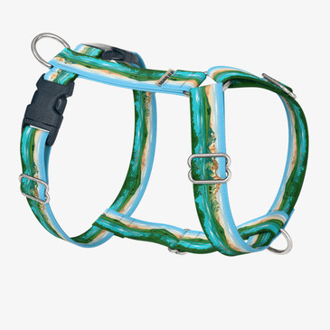 front view of harness