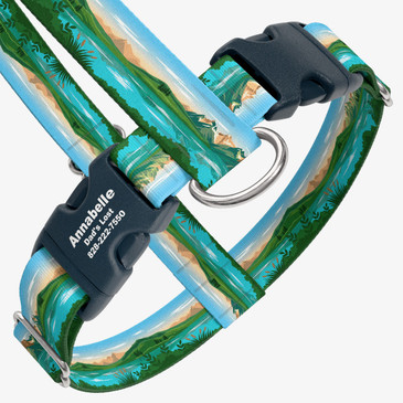 closeup view of harness with personalized buckle