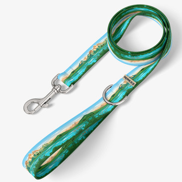 front view of leash