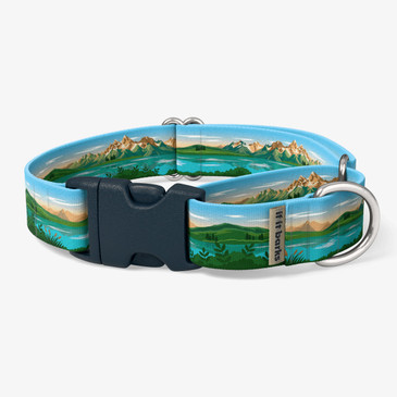 front view of collar